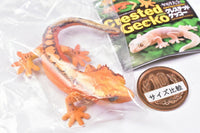 Capsule Q Gecko Figure Collection Ver.2 crested gecko [2.Crested gecko (red)]