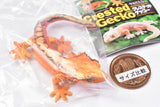 Capsule Q Gecko Figure Collection Ver.2 crested gecko [2.Crested gecko (red)]