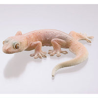 Capsule Q Gecko Figure Collection Ver.2 crested gecko [3.Four-clawed gecko]