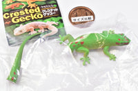 Capsule Q Gecko Figure Collection Ver.2 crested gecko [5.Madagascar day gecko]