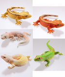 Capsule Q Gecko Figure Collection Ver.2 crested gecko [All 5 type set(Full Complete)]