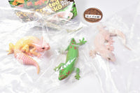 Capsule Q Gecko Figure Collection Ver.2 crested gecko [Assorted 3 type set (3.Four-clawed gecko/4.Leopard gecko (blizzard)/5.Leopard gecko (blizzard))]