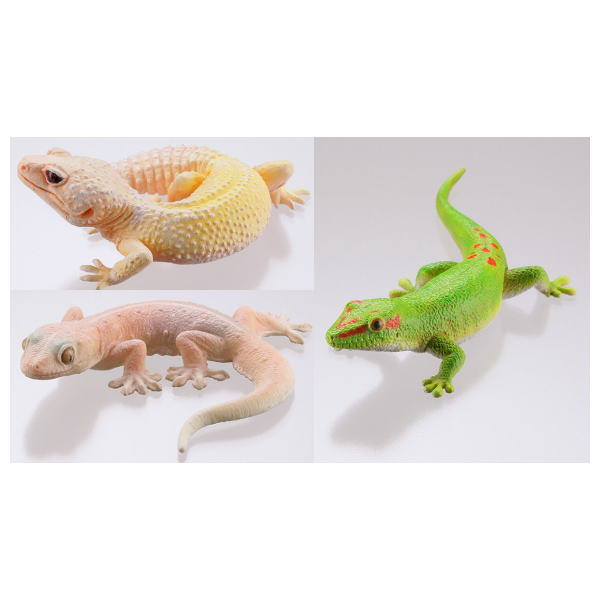 Capsule Q Gecko Figure Collection Ver.2 crested gecko [Assorted 3 type set (3.Four-clawed gecko/4.Leopard gecko (blizzard)/5.Leopard gecko (blizzard))]