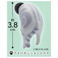 Earplugs Cat [2.American Shorthair]