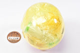 Sukuttotacchisan ohiohi Penlight [4.Chick]