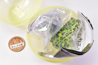 Nature Techni colour  Japanese Frog Special Edition [4.Ishikawa frog]