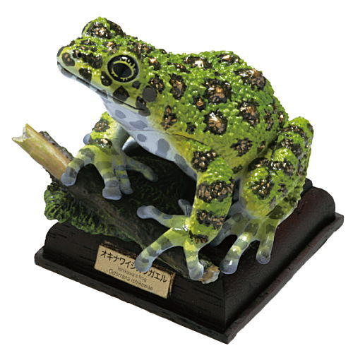 Nature Techni colour  Japanese Frog Special Edition [4.Ishikawa frog]