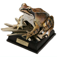 Nature Techni colour  Japanese Frog Special Edition [5.Ezo Brown Frog]