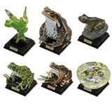 Nature Techni colour  Japanese Frog Special Edition [All 6 type set(Full Complete)]