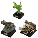 Nature Techni colour  Japanese Frog Special Edition [Assorted 3 type set (1.Japanese tree frog/3.Kajika frog/5.Ezo Brown Frog)]