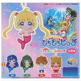 Mermaid Melody Pichi Pichi Pitch Capkko Friends [All 5 type set(Full Complete)]