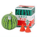 Premium Fruit Miniature Collection Vol.2 [1.Tomisato Watermelon JA Tomisato Chiba]