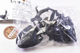 Animalier collection 1/1 Dorcus titanus [2.Dorcus titanus yasuokai (inner tooth up)]