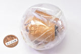 European Sugar Cone Light [4.Shifuku Caramel]