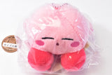 Hoshi no Kirby Osuwari Stuffed Toy Mascot Part.2 [2.Kirby (Sleeping)]