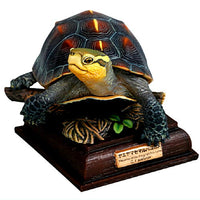 Nature Techni colour Japanese Turtle Special Edition [2.yellow-margined box turtle]