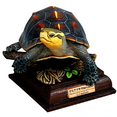 Nature Techni colour Japanese Turtle Special Edition [2.yellow-margined box turtle]