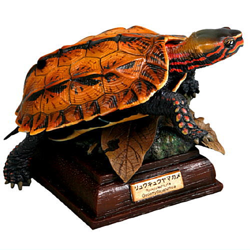 Nature Techni colour Japanese Turtle Special Edition [3.Japanese black-breasted leaf turtle]