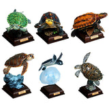 Nature Techni colour Japanese Turtle Special Edition [All 6 type set(Full Complete)]