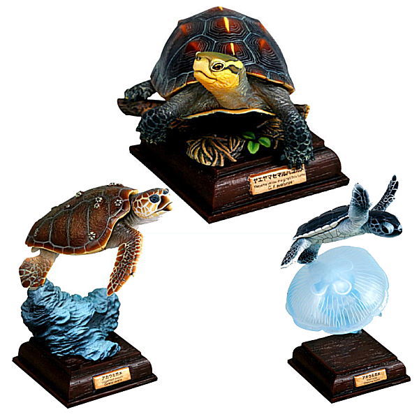 Nature Techni colour Japanese Turtle Special Edition [Assorted 3 type set (2.yellow-margined box turtle/4.Loggerhead turtle/5.Green turtle (Young))]