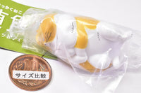 Right Angle Cat Mascot Figure [5.Chashiro cat]