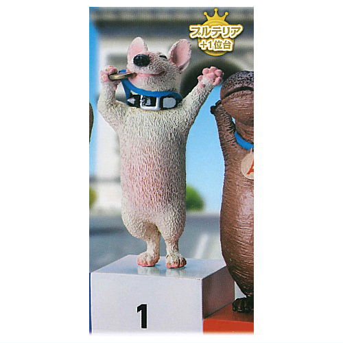 Animal Attraction Toshio Asakuma Podium Animal France [1.Bull Terrier + 1st place]