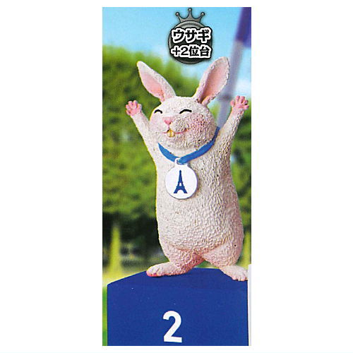 Animal Attraction Toshio Asakuma Podium Animal France [5.Rabbit + 2nd place]