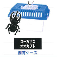 Real! Konchu Mushikago Mascot Part.7 [4.Caucasus beetle (Breeding case)]