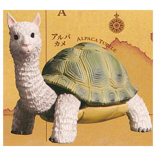 Gray Meron Nazopagos island [1.Alpaca turtle]