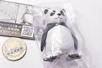 Gray Meron Nazopagos island [2.Panda penguin]