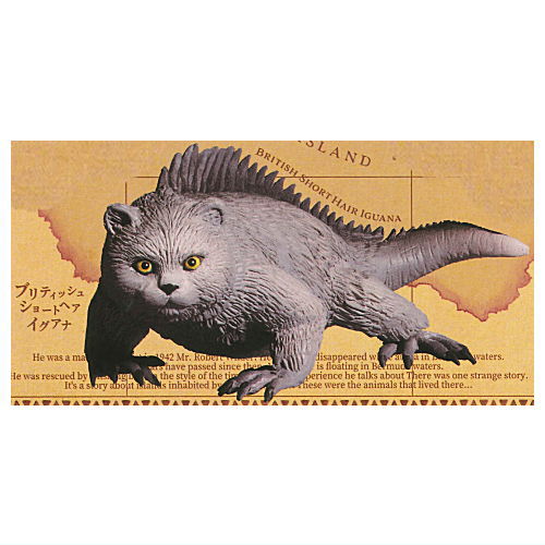 Gray Meron Nazopagos island [4.British shorthair iguana]