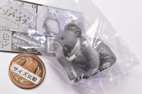 Gray Meron Nazopagos island [5.Koala elephant]
