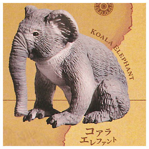 Gray Meron Nazopagos island [5.Koala elephant]