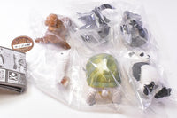 Gray Meron Nazopagos island [All 5 type set(Full Complete)]