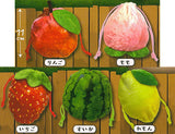 Kinchakudamono Harvest Festival [All 5 type set(Full Complete)]