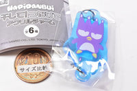 Hapidanbui Hoshite! Tsunagete Acrylic Charm [2.Bad Badtzmaru]