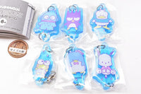 Hapidanbui Hoshite! Tsunagete Acrylic Charm [All 6 type set(Full Complete)]