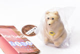polar bear bank Narabundesu. Nordic LIFE [4.Bear with Coffee]