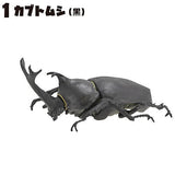 Insect King [1.Beetle(Black)]