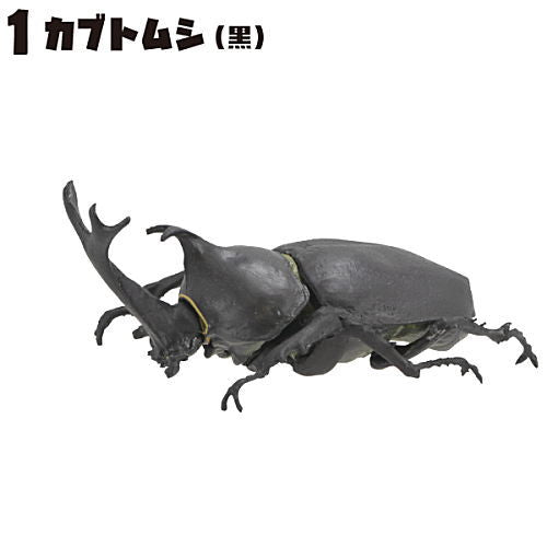 Insect King [1.Beetle(Black)]