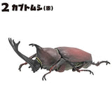 Insect King [2.Beetle(red)]