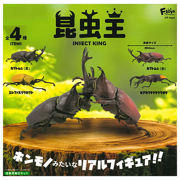 Insect King [All 4 type set(Full Complete)]