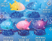 Ulfig Happy whale shark Jewel Gradation [All 5 type set(Full Complete)]