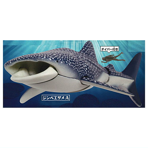 The Shark Whale Shark Found! [1.Whale Shark A] – toysantajp