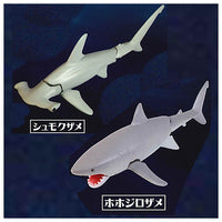 The Shark Whale Shark Found! [Assorted 2 type set (3.Hammerhead Shark/4.Great White Shark)]