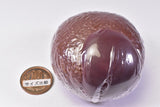 TAMA-KYU Hamburger Tsukeawase Brooch [1.Demiglas hamburger & mixed vegetables]