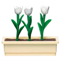 TAMA-KYU Desktop Planting Club [2.Tulip (white)]