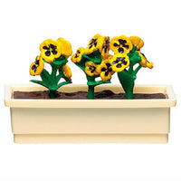 TAMA-KYU Desktop Planting Club [4.Pansy (yellow)]