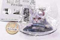 Cat Meme soft mejirushi charm [2.Driving]