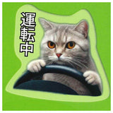 Cat Meme soft mejirushi charm [2.Driving]